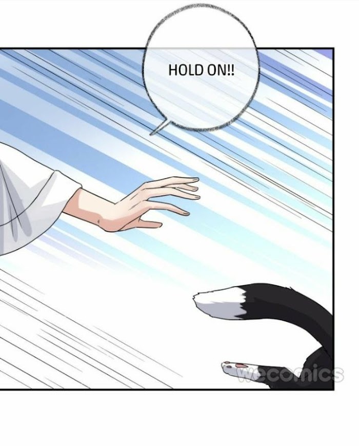 Read Pay Me Back, Mr. Cat chapter 7 image 19 on Lezhin