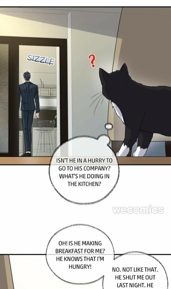 Read Pay Me Back, Mr. Cat chapter 7 image 24 on Lezhin