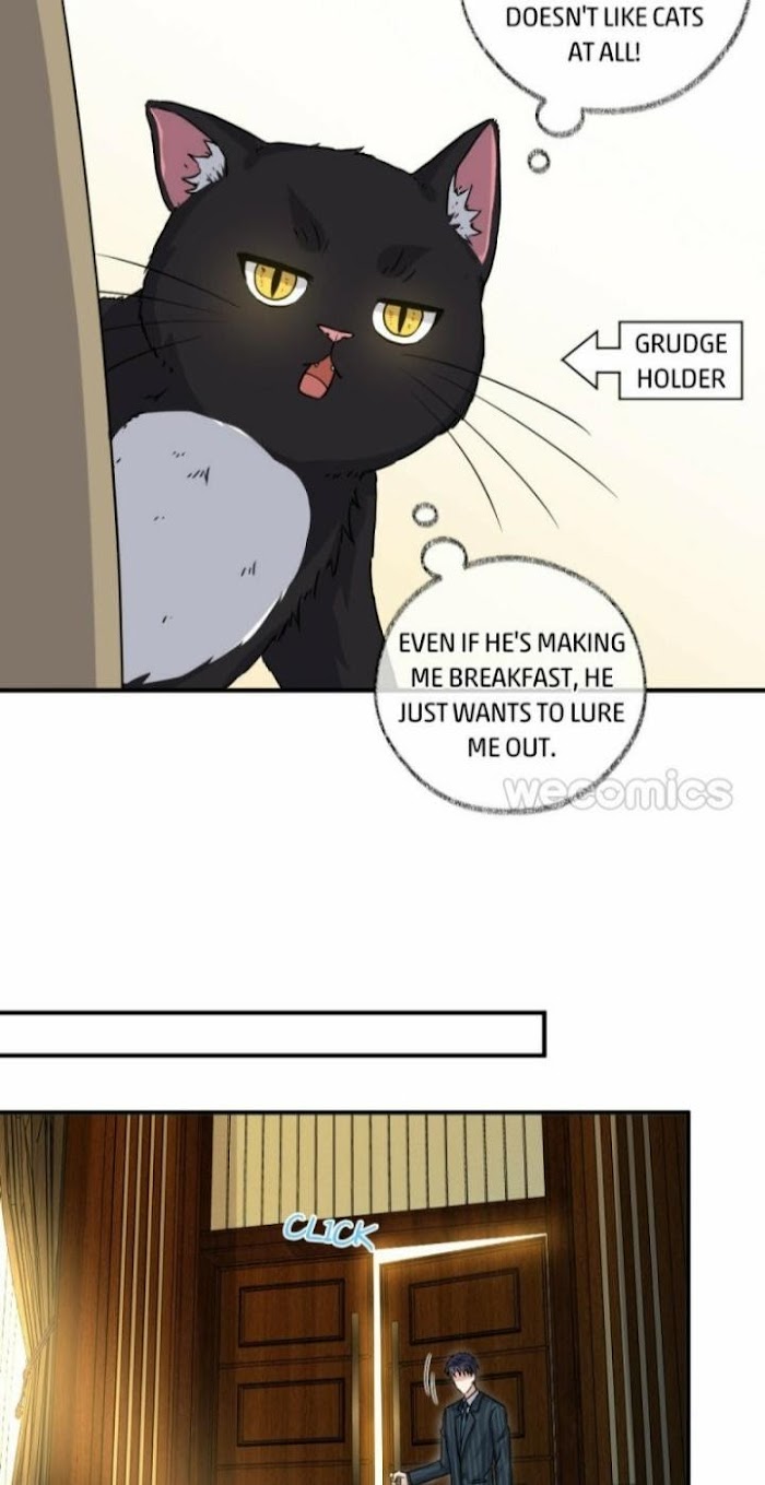 Read Pay Me Back, Mr. Cat chapter 7 image 25 on Lezhin