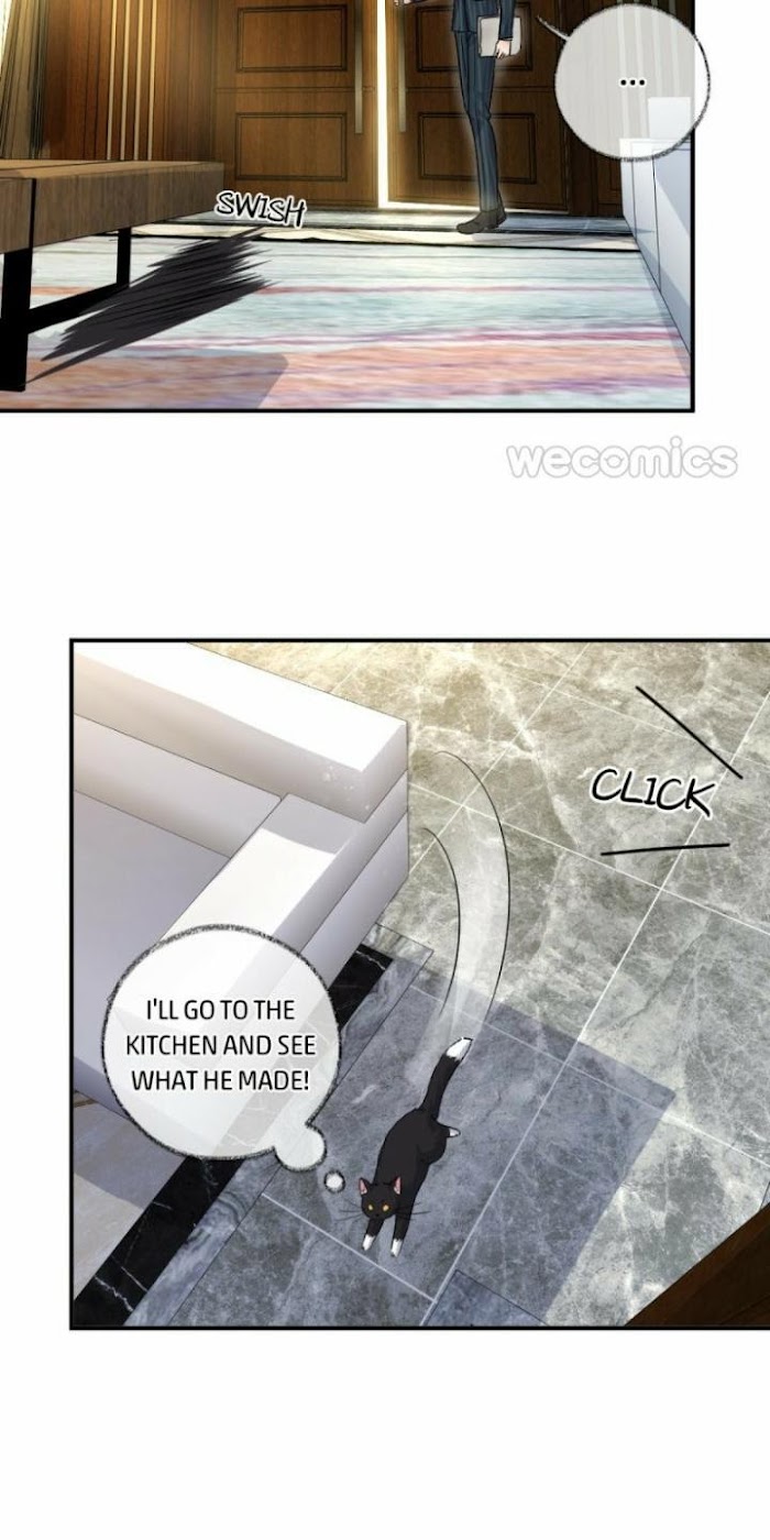 Read Pay Me Back, Mr. Cat chapter 7 image 26 on Lezhin