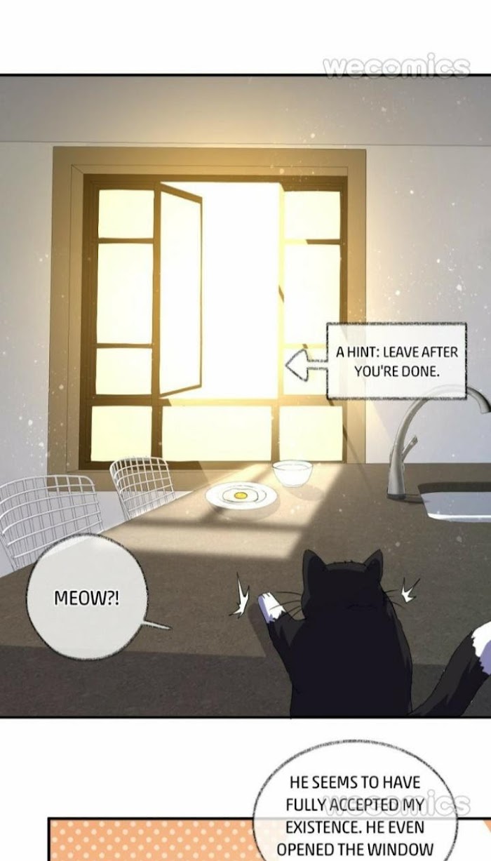 Read Pay Me Back, Mr. Cat chapter 7 image 27 on Lezhin