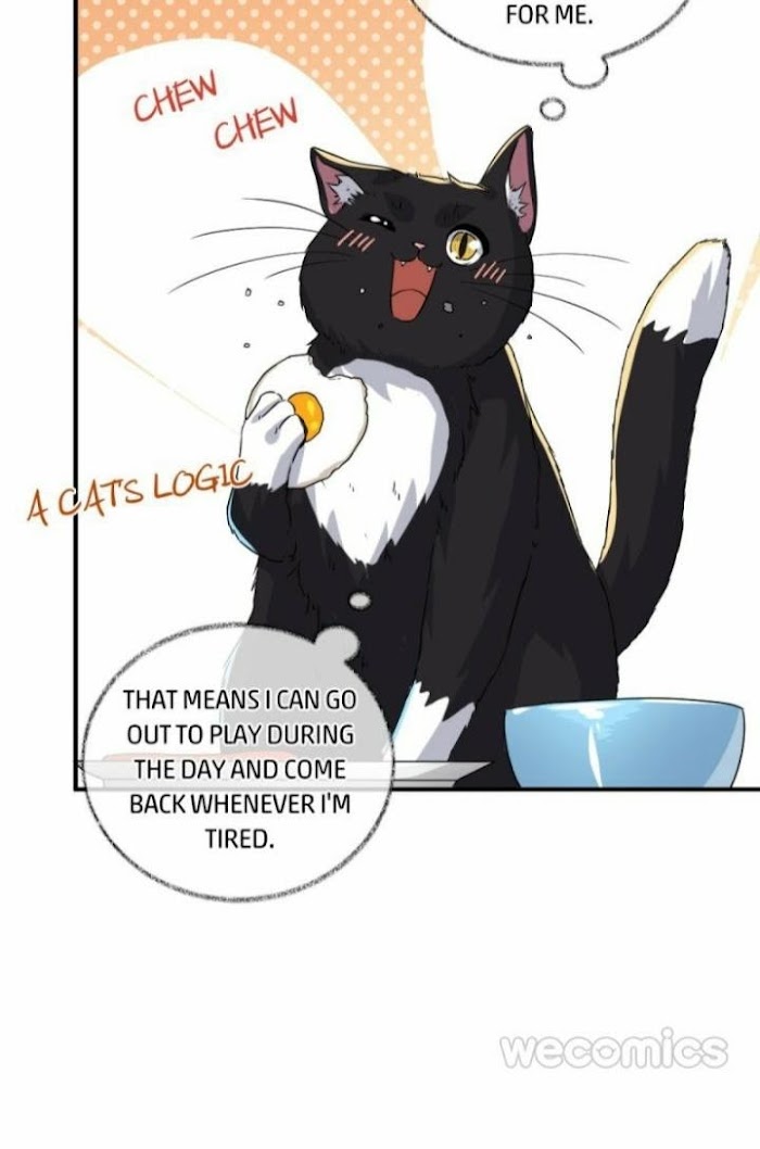 Read Pay Me Back, Mr. Cat chapter 7 image 28 on Lezhin