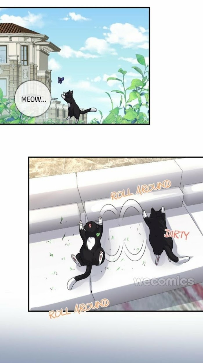Read Pay Me Back, Mr. Cat chapter 7 image 29 on Lezhin