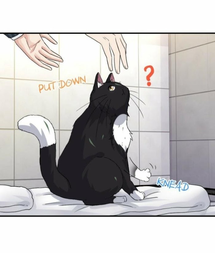 Read Pay Me Back, Mr. Cat chapter 8 image 10 on Lezhin