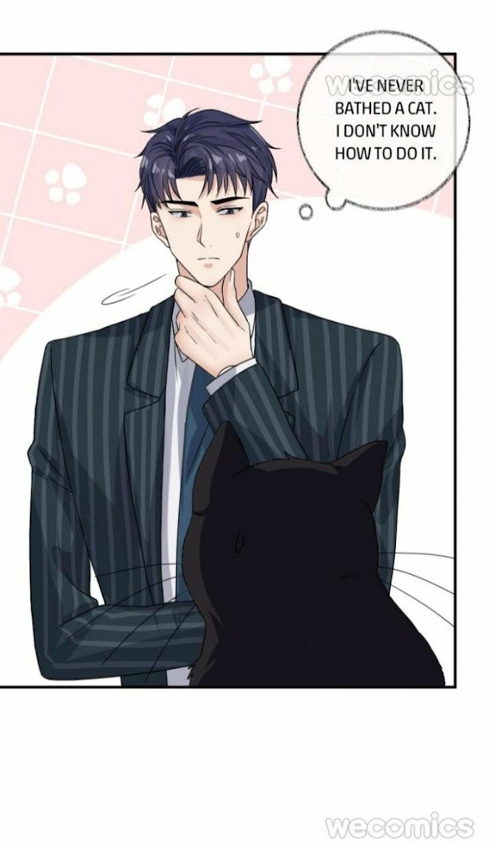 Read Pay Me Back, Mr. Cat chapter 8 image 11 on Lezhin
