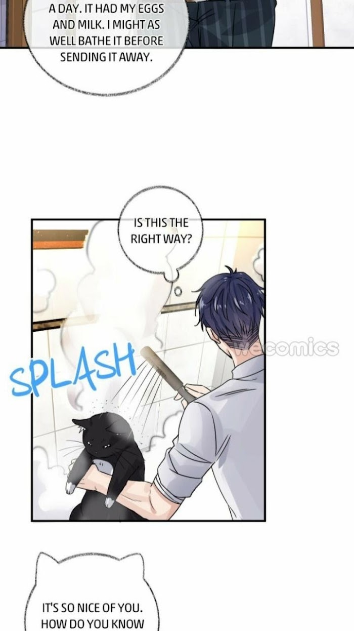 Read Pay Me Back, Mr. Cat chapter 8 image 13 on Lezhin