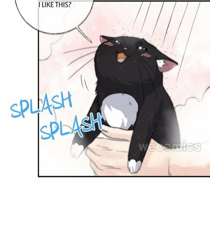 Read Pay Me Back, Mr. Cat chapter 8 image 14 on Lezhin