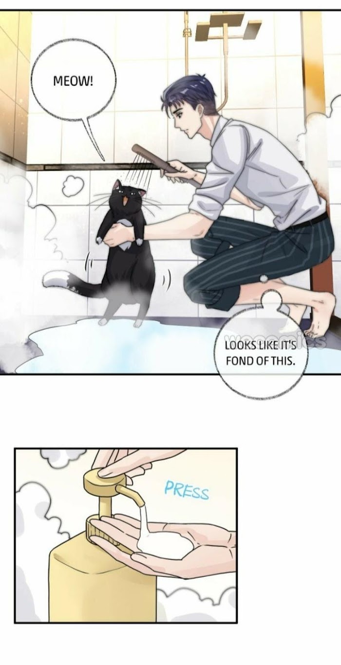 Read Pay Me Back, Mr. Cat chapter 8 image 15 on Lezhin