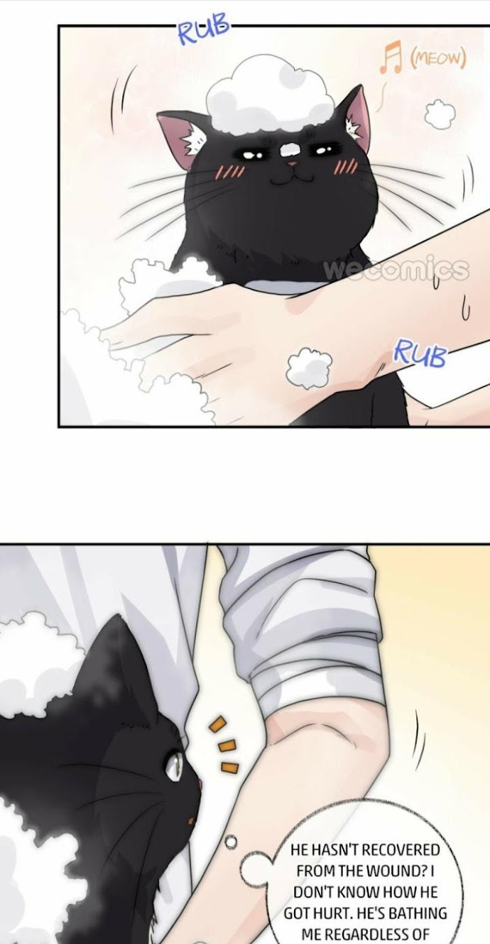 Read Pay Me Back, Mr. Cat chapter 8 image 16 on Lezhin