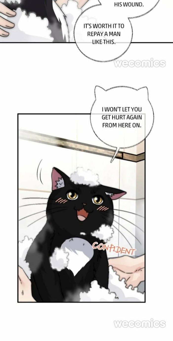 Read Pay Me Back, Mr. Cat chapter 8 image 17 on Lezhin