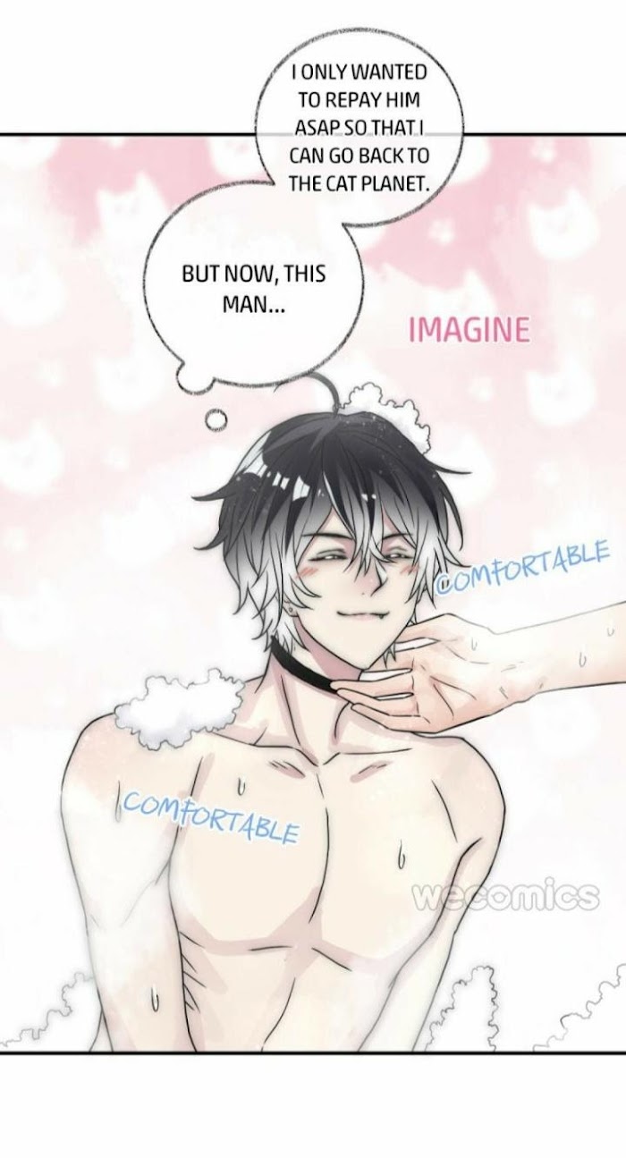 Read Pay Me Back, Mr. Cat chapter 8 image 18 on Lezhin