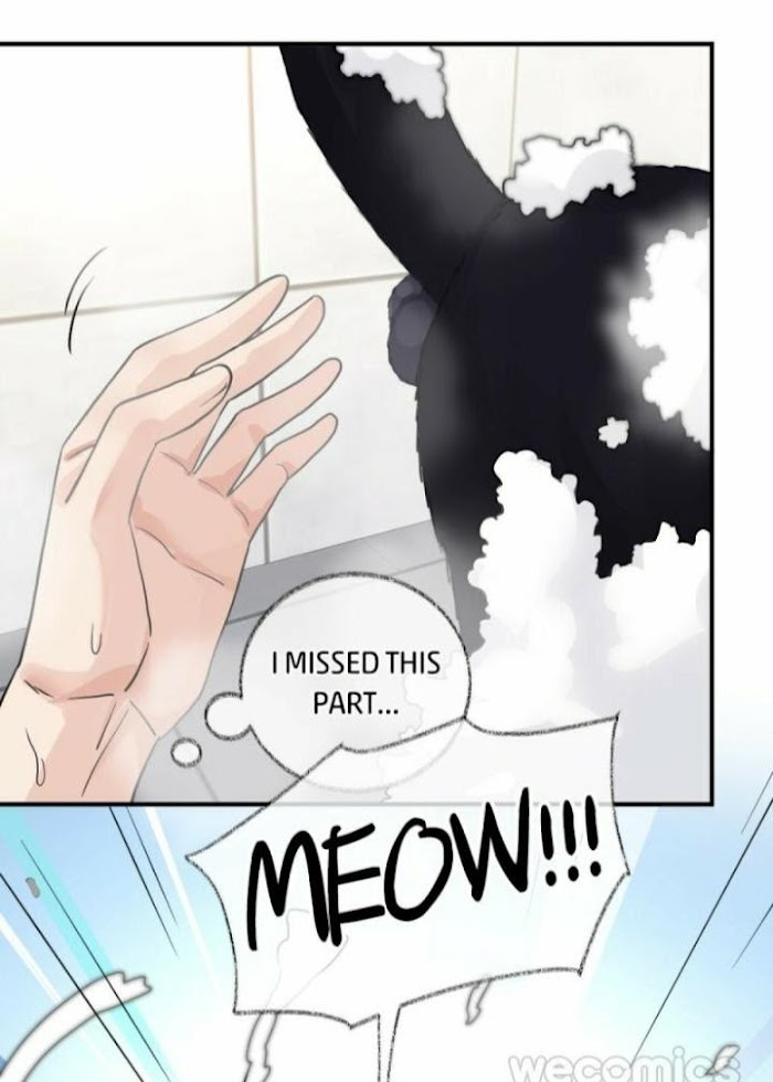 Read Pay Me Back, Mr. Cat chapter 8 image 20 on Lezhin