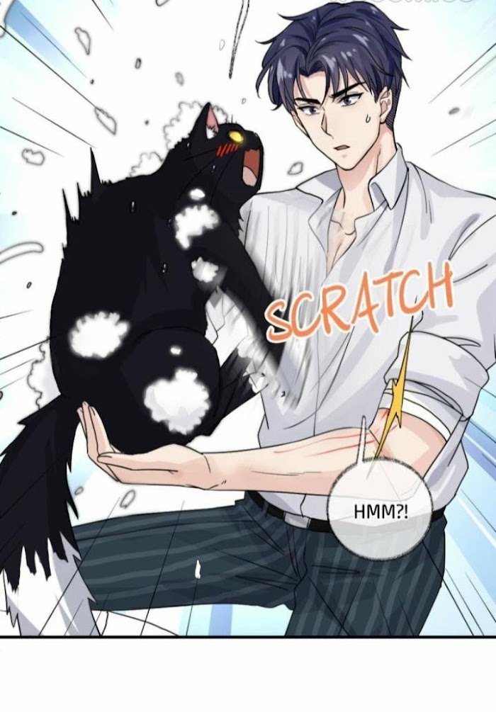 Read Pay Me Back, Mr. Cat chapter 8 image 21 on Lezhin