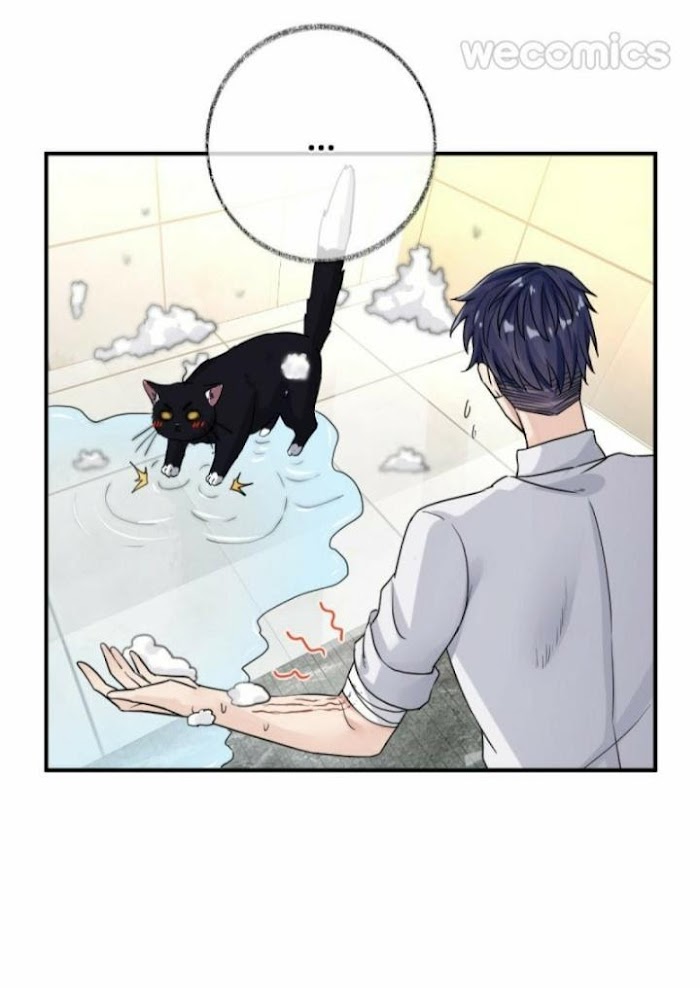 Read Pay Me Back, Mr. Cat chapter 8 image 22 on Lezhin