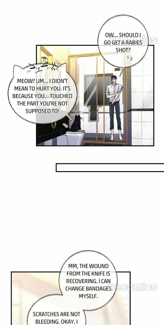 Read Pay Me Back, Mr. Cat chapter 8 image 23 on Lezhin