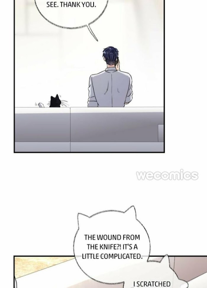 Read Pay Me Back, Mr. Cat chapter 8 image 24 on Lezhin