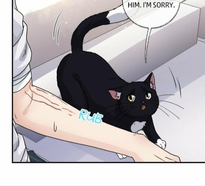 Read Pay Me Back, Mr. Cat chapter 8 image 25 on Lezhin