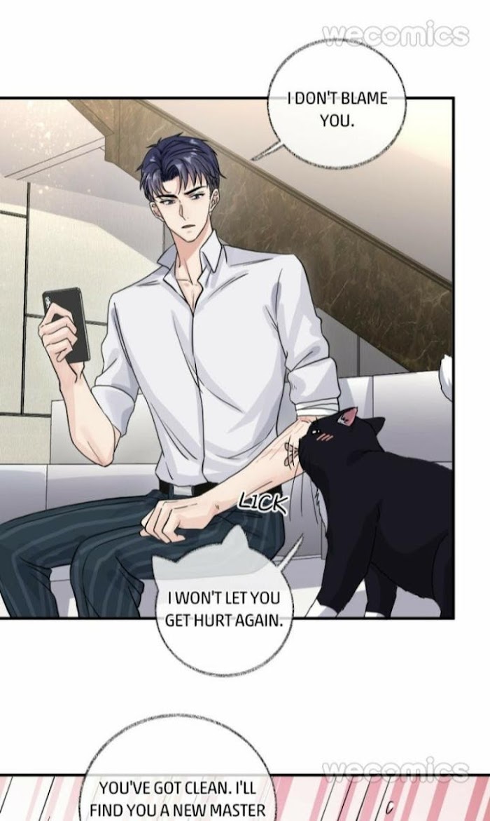 Read Pay Me Back, Mr. Cat chapter 8 image 26 on Lezhin