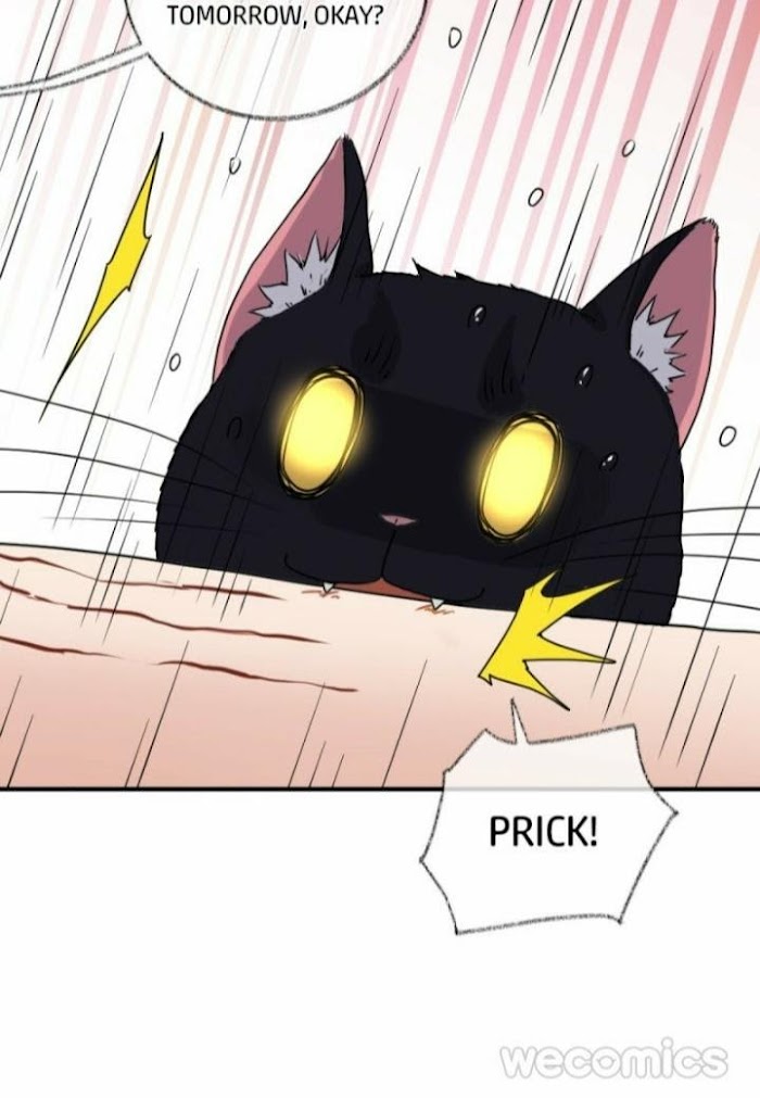 Read Pay Me Back, Mr. Cat chapter 8 image 27 on Lezhin