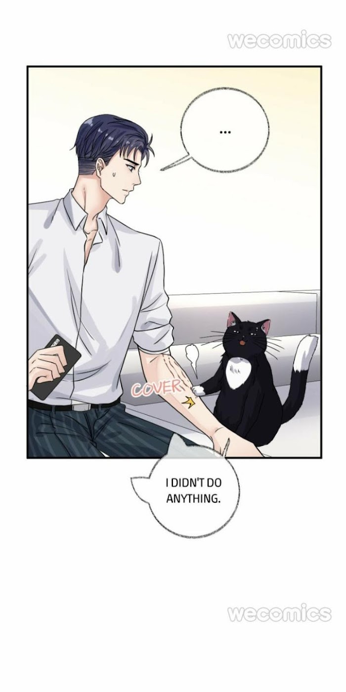 Read Pay Me Back, Mr. Cat chapter 8 image 28 on Lezhin