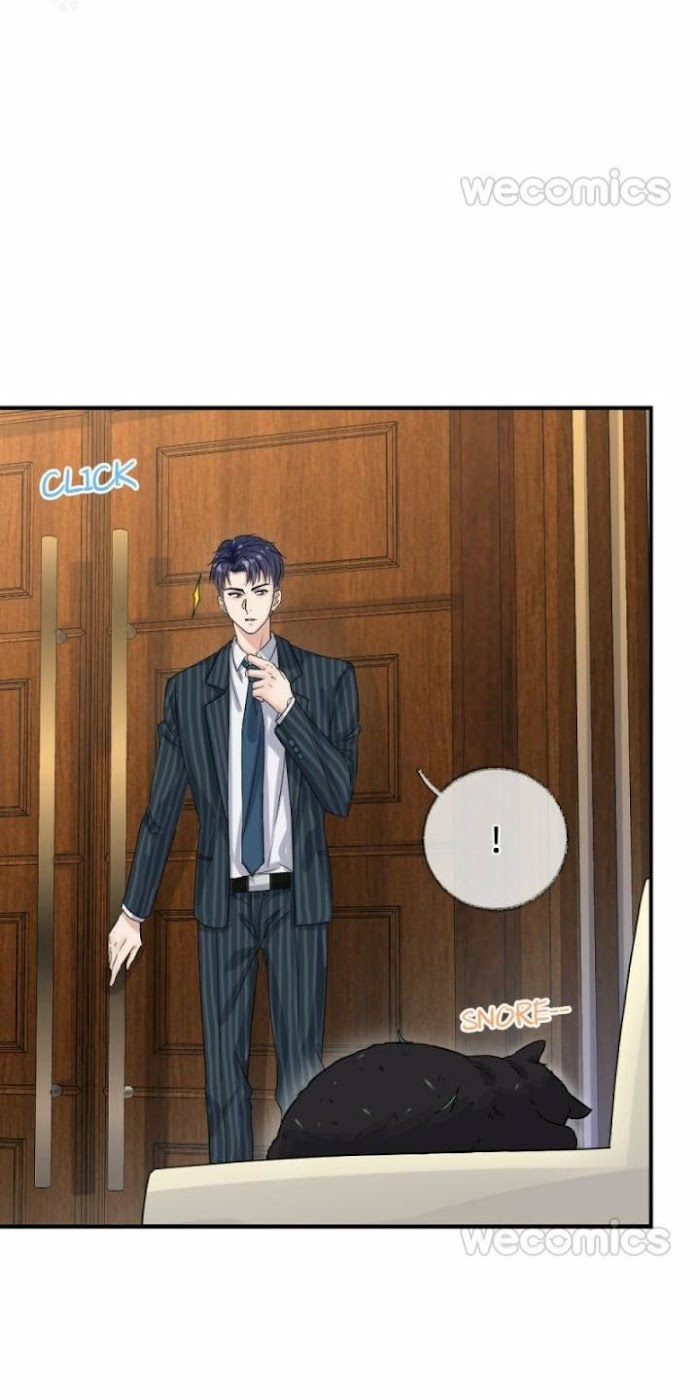 Read Pay Me Back, Mr. Cat chapter 8 image 3 on Lezhin