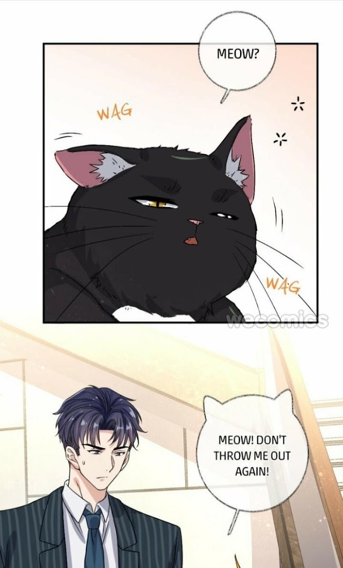 Read Pay Me Back, Mr. Cat chapter 8 image 5 on Lezhin