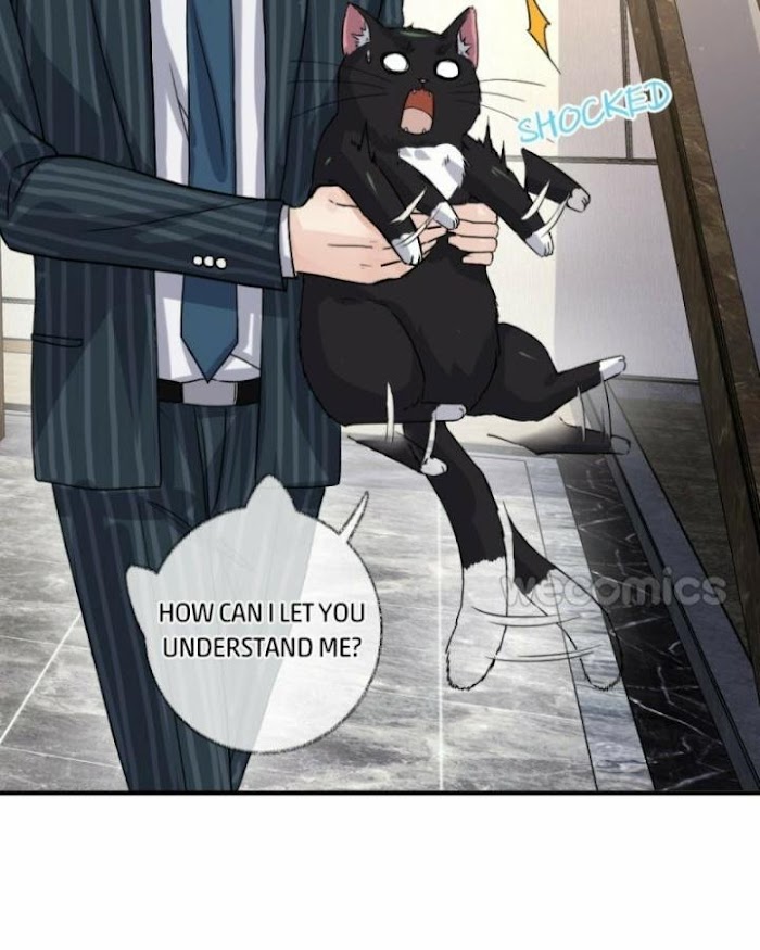 Read Pay Me Back, Mr. Cat chapter 8 image 6 on Lezhin