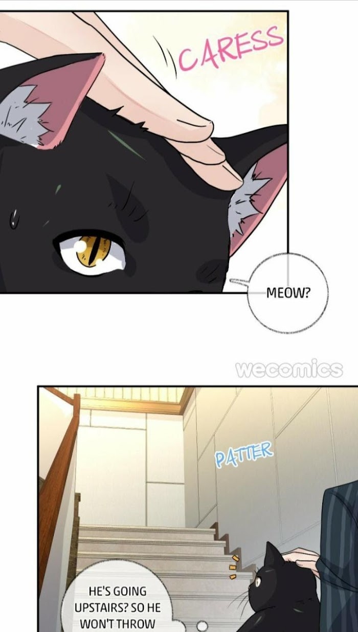 Read Pay Me Back, Mr. Cat chapter 8 image 7 on Lezhin