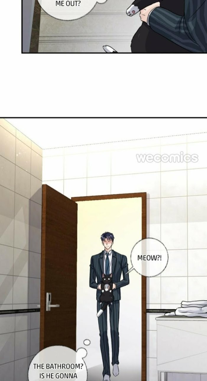 Read Pay Me Back, Mr. Cat chapter 8 image 8 on Lezhin