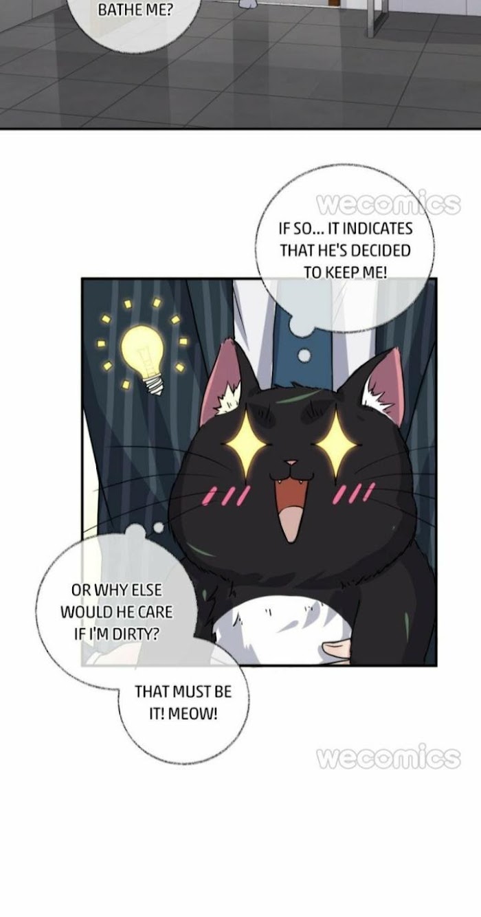 Read Pay Me Back, Mr. Cat chapter 8 image 9 on Lezhin