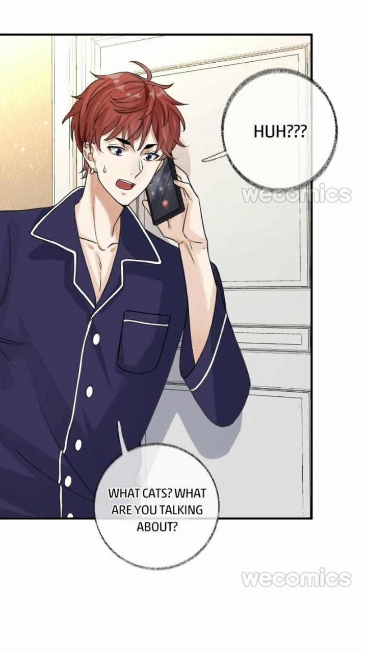 Read Pay Me Back, Mr. Cat chapter 9 image 10 on Lezhin