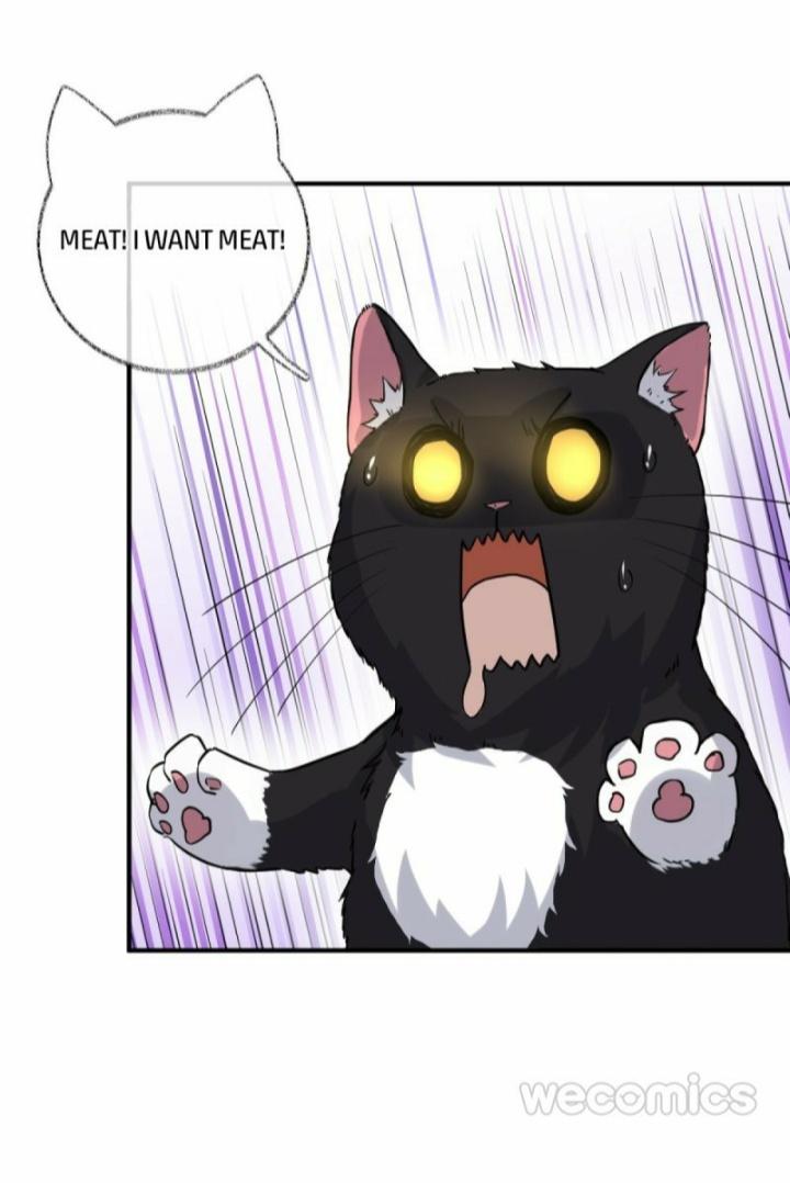 Read Pay Me Back, Mr. Cat chapter 9 image 11 on Lezhin