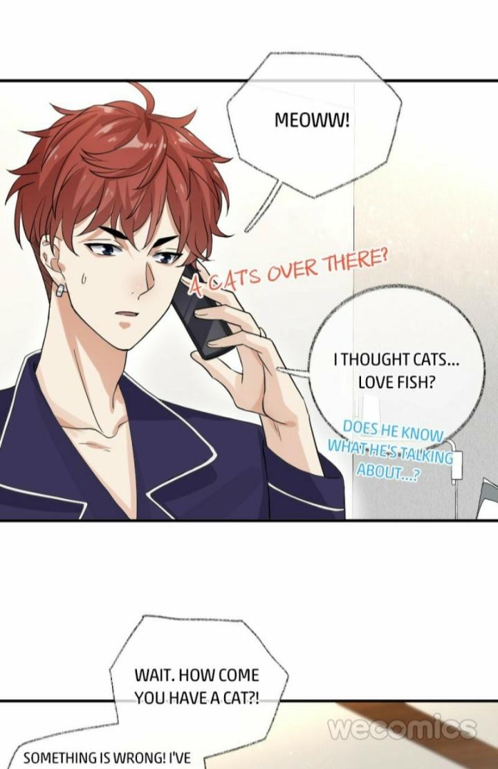 Read Pay Me Back, Mr. Cat chapter 9 image 12 on Lezhin