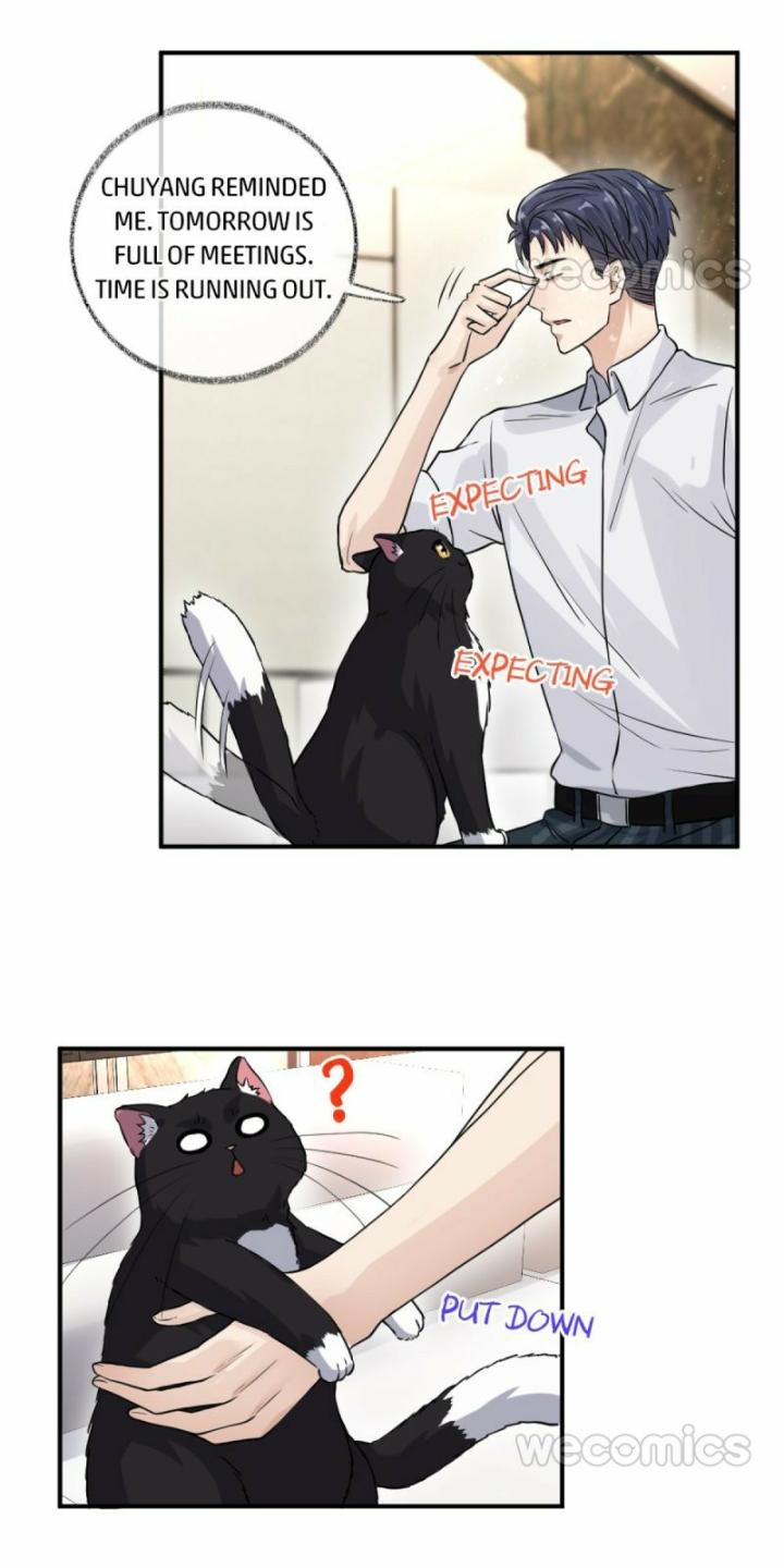 Read Pay Me Back, Mr. Cat chapter 9 image 14 on Lezhin