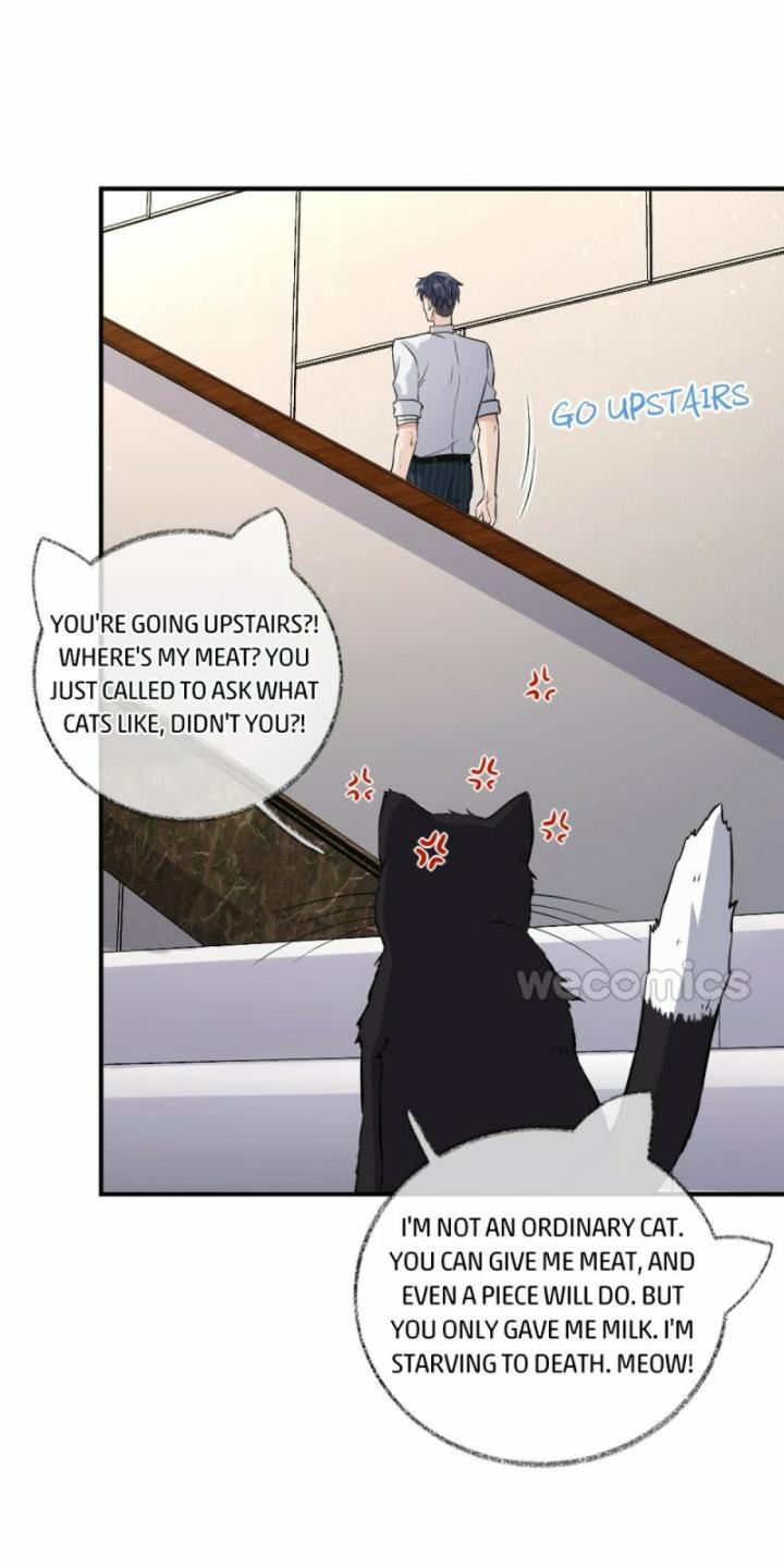 Read Pay Me Back, Mr. Cat chapter 9 image 15 on Lezhin