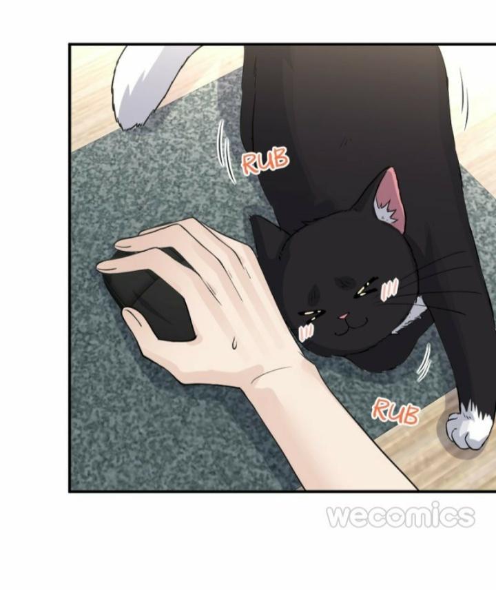 Read Pay Me Back, Mr. Cat chapter 9 image 19 on Lezhin