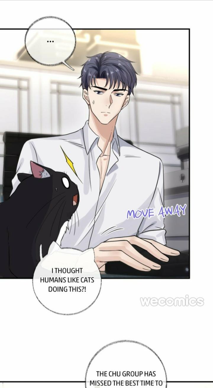 Read Pay Me Back, Mr. Cat chapter 9 image 20 on Lezhin