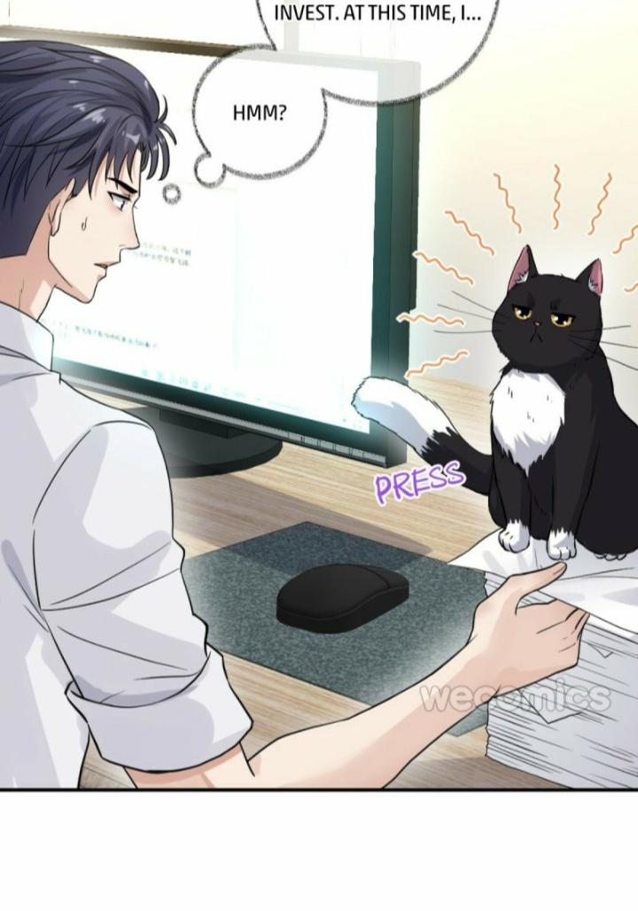 Read Pay Me Back, Mr. Cat chapter 9 image 21 on Lezhin