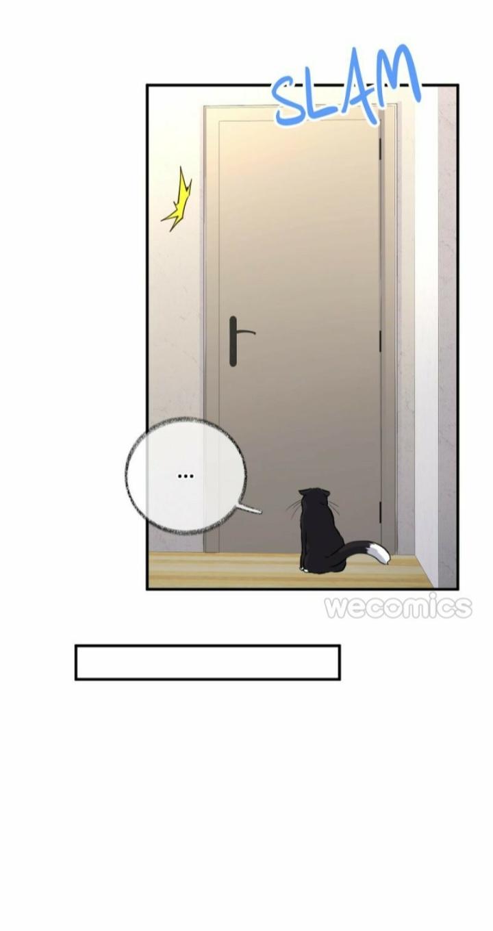 Read Pay Me Back, Mr. Cat chapter 9 image 22 on Lezhin