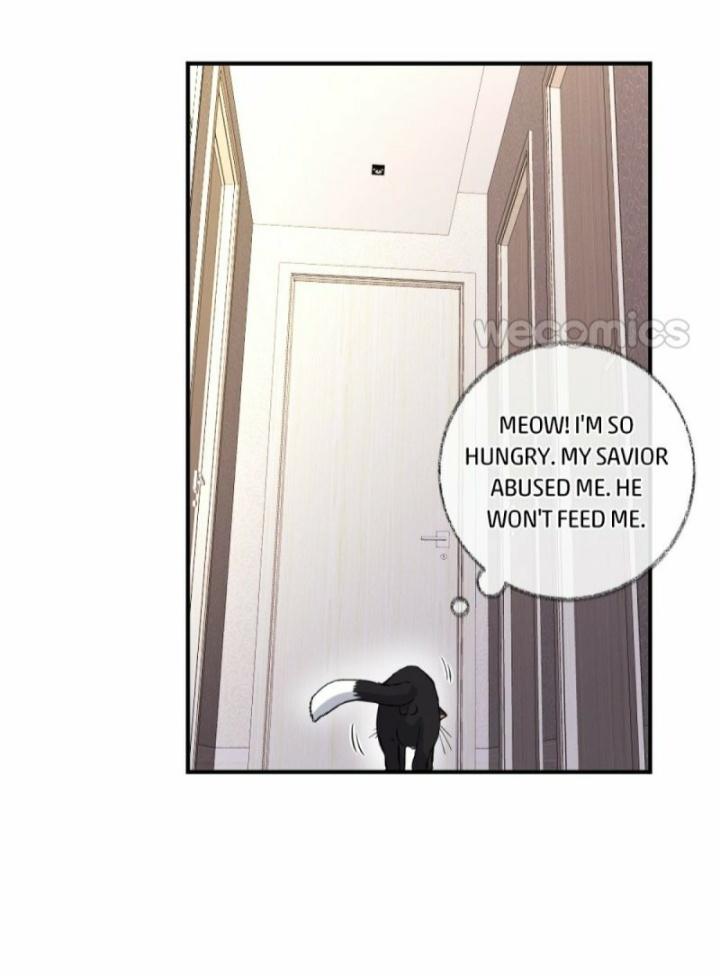 Read Pay Me Back, Mr. Cat chapter 9 image 26 on Lezhin