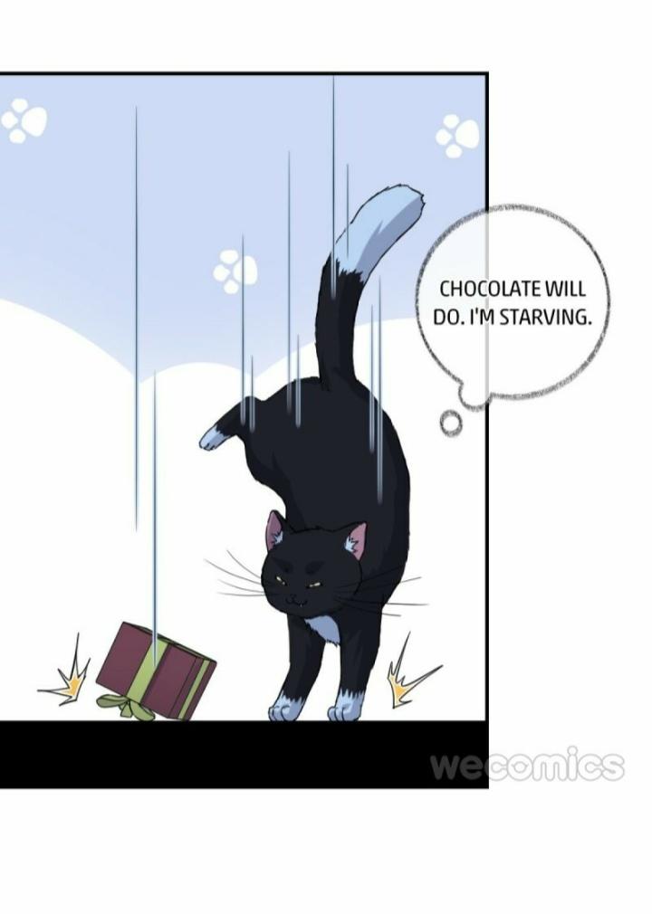 Read Pay Me Back, Mr. Cat chapter 9 image 29 on Lezhin