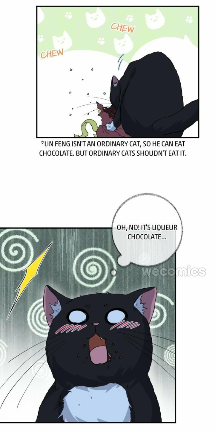 Read Pay Me Back, Mr. Cat chapter 9 image 30 on Lezhin
