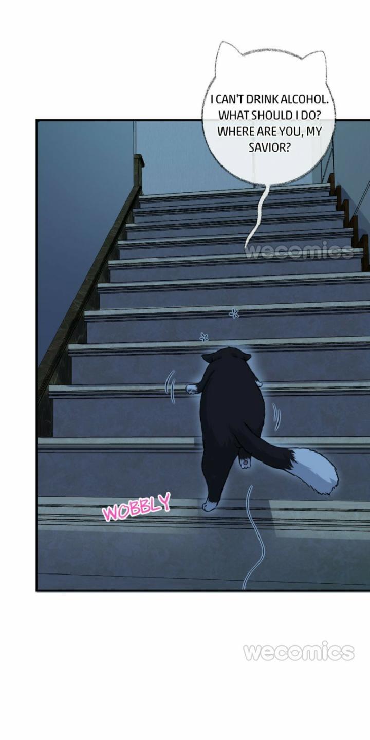 Read Pay Me Back, Mr. Cat chapter 9 image 31 on Lezhin