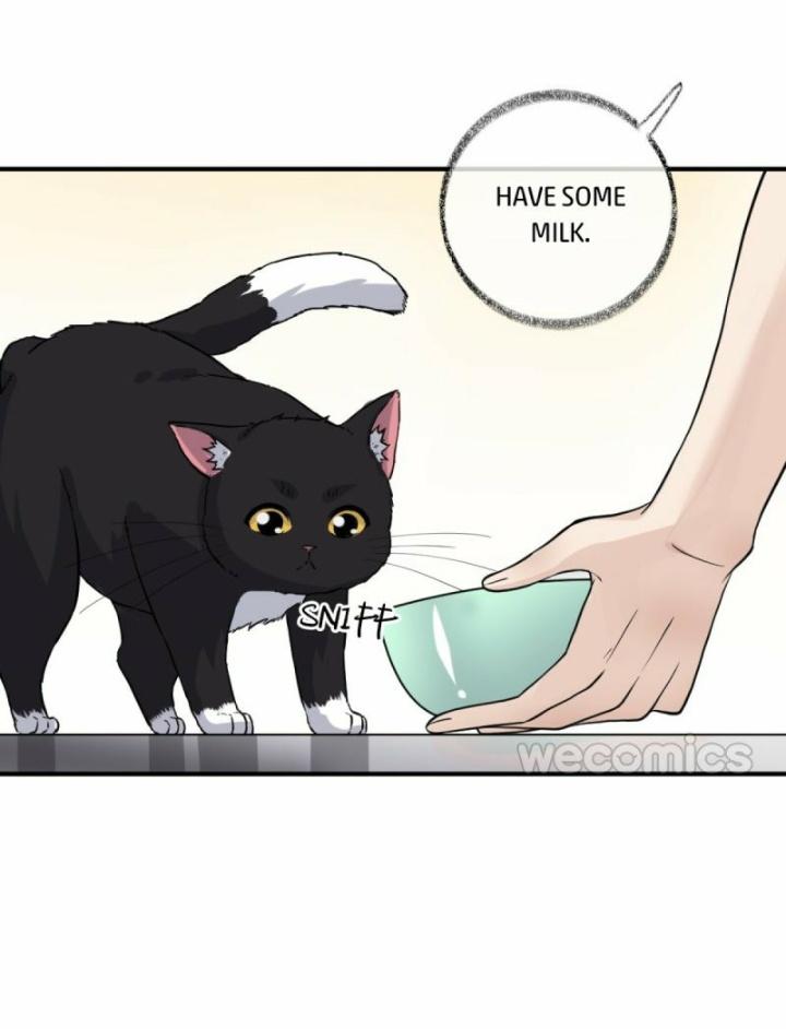 Read Pay Me Back, Mr. Cat chapter 9 image 4 on Lezhin