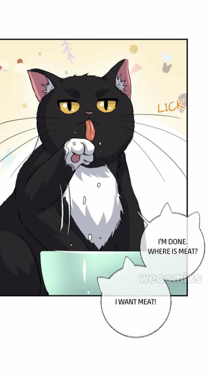Read Pay Me Back, Mr. Cat chapter 9 image 5 on Lezhin