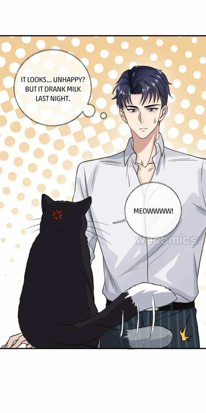 Read Pay Me Back, Mr. Cat chapter 9 image 6 on Lezhin