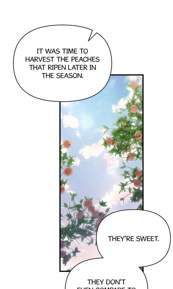 Read Peach Boy, The Highest Sweetest! chapter 6 image 29 on Lezhin