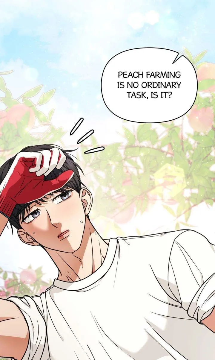 Read Peach Boy, The Highest Sweetest! chapter 6 image 90 on Lezhin