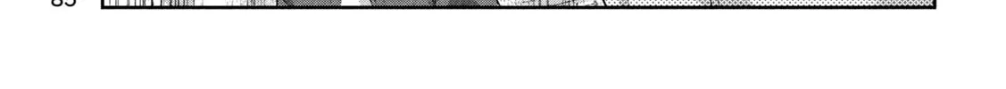 Read Peep chapter 18 image 21 on Lezhin