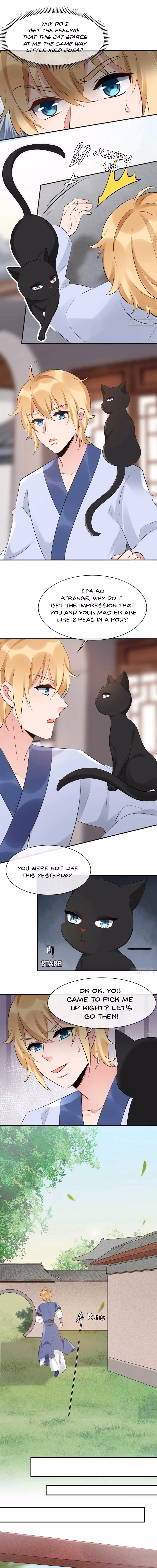 Read Peerless Doctor: The Scheming Lady chapter 71 image 3 on Lezhin